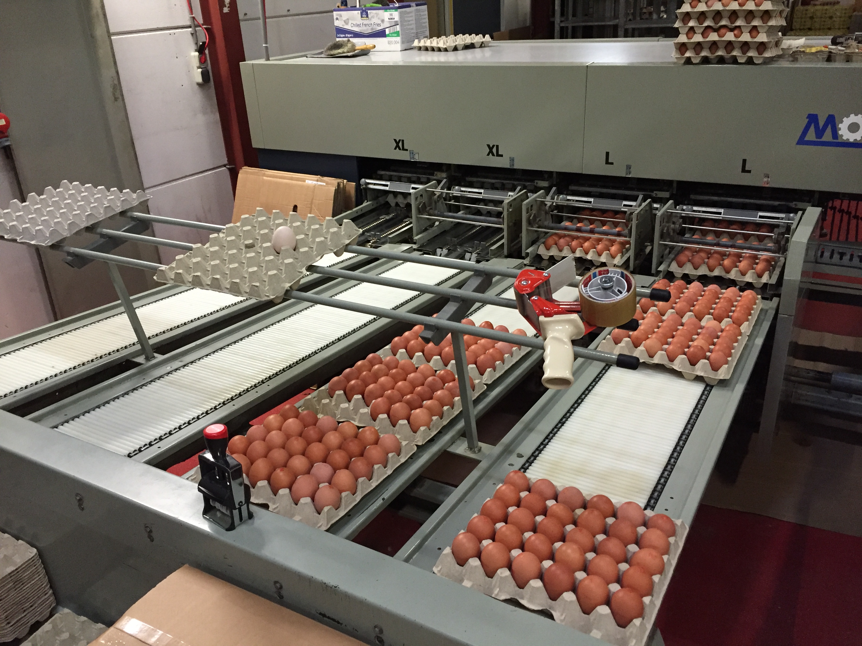Moba 1000 – Reids Egg Equipment