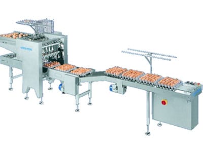 idra22-egg-grader idra22 egg grader