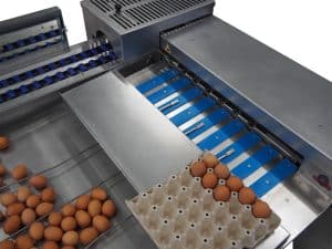 Riva Selegg Egg Grader Type S 31XXL from Reid's Equipment