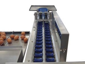 Riva Selegg Egg Grader Type S 31XXL from Reid's Equipment