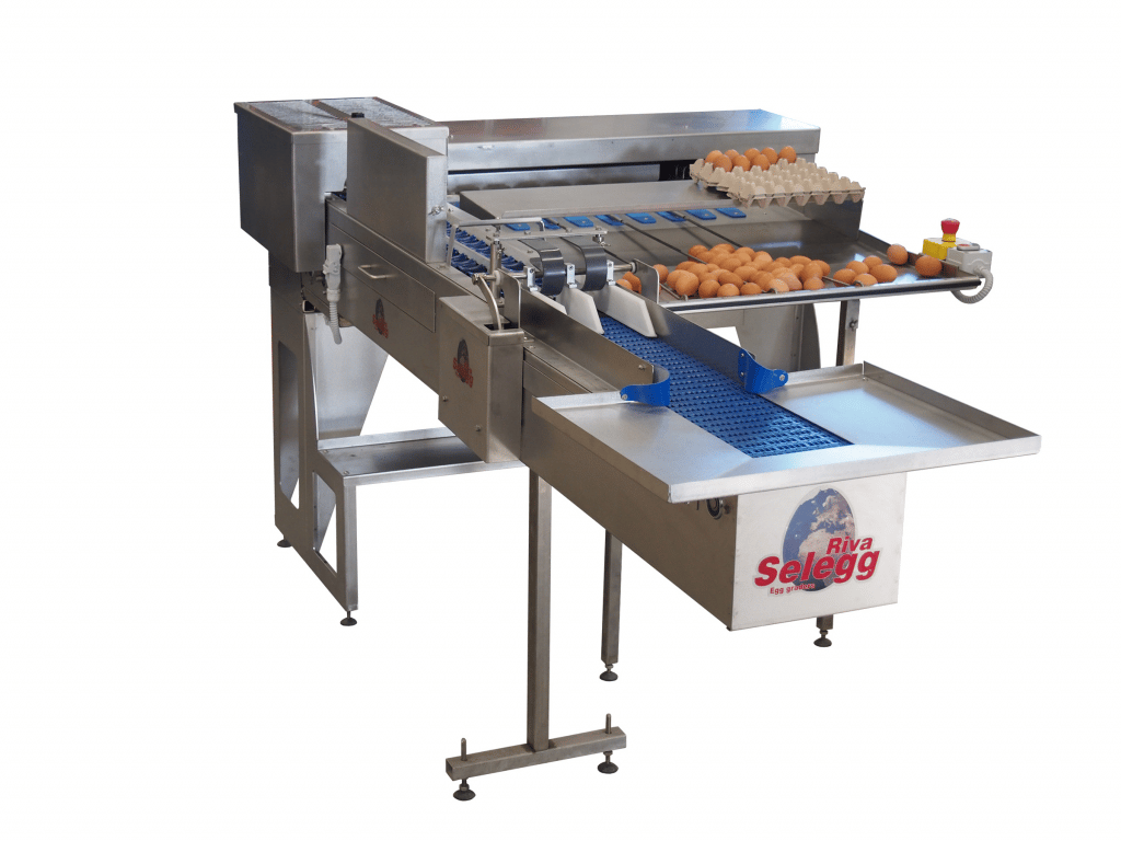 Riva Selegg Egg Grader Type S 31XXL from Reid's Equipment