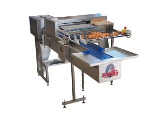 Riva Selegg Egg Grader Type S 31XXL from Reid's Equipment