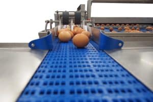 Riva Selegg Egg Grader Type S 41 from Reids Equipment