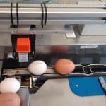 Egg printer