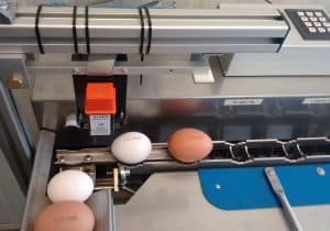 Ovobit3_EggPrint3 Egg printer