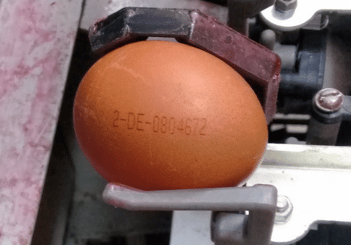 Egg Printer