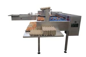 Egg Grader Type S 91