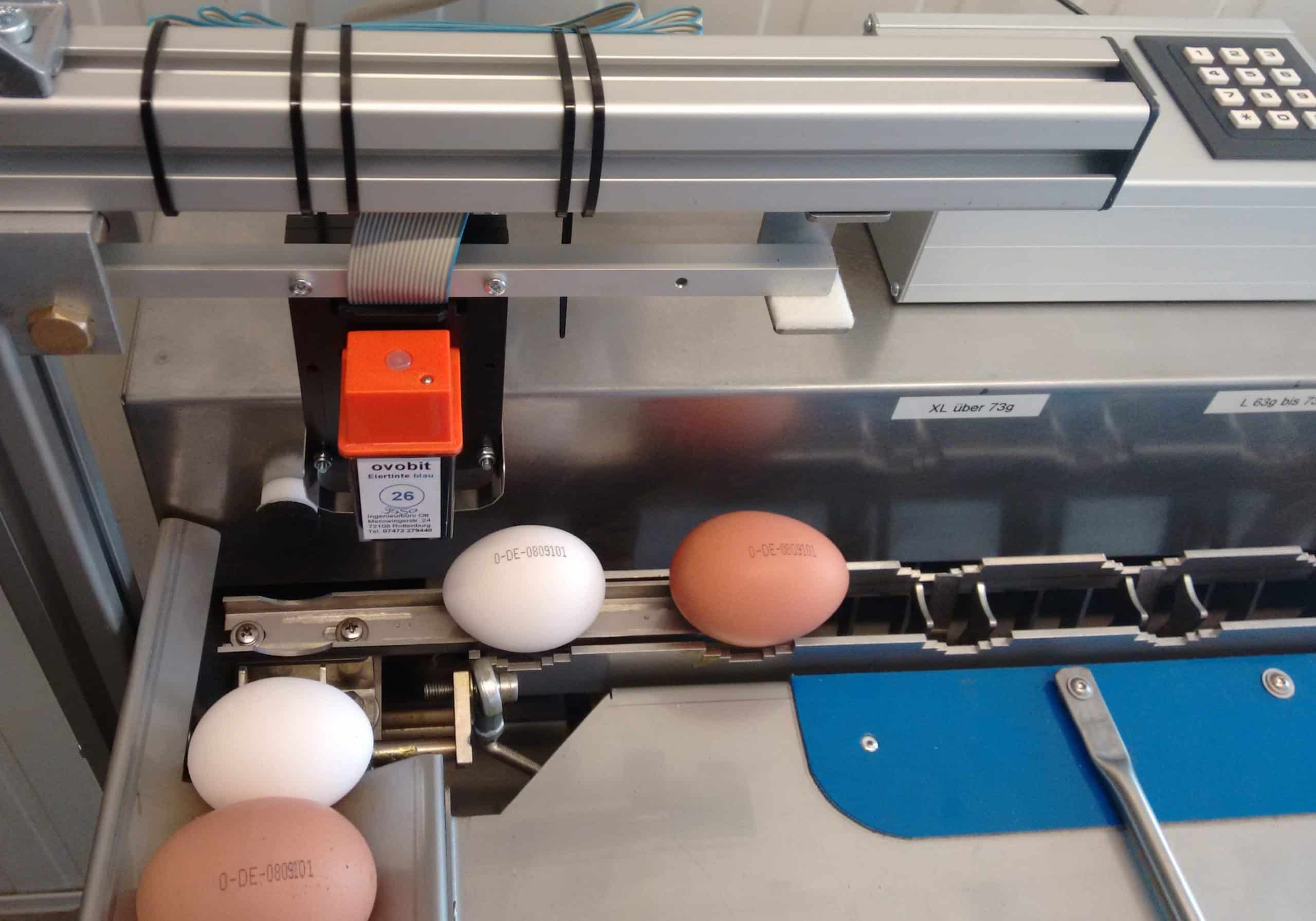 Our egg printing machines are perfect for quick egg printing and distribution
