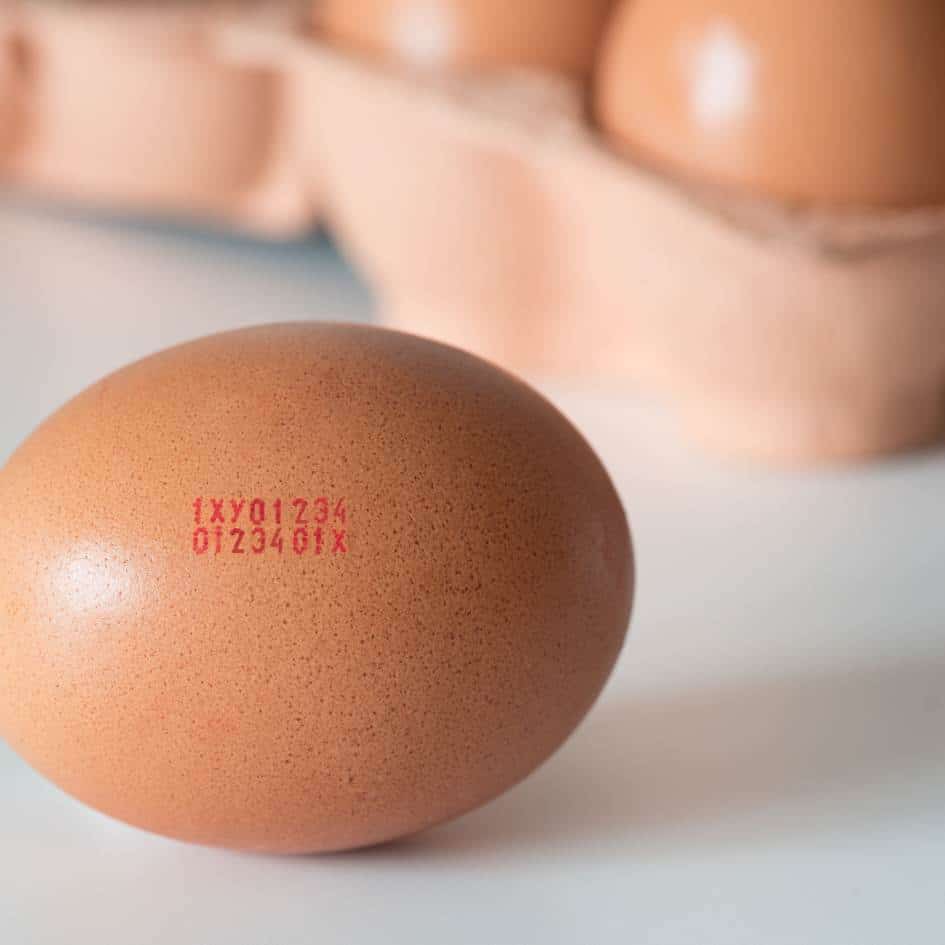 fresh eggs from an egg dispenser from Reids Equipment