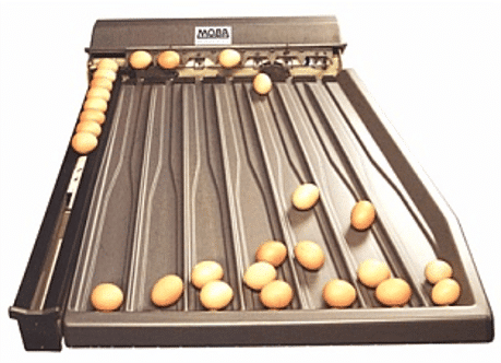 NEW Egg grader from MOBA at Reids Equipment