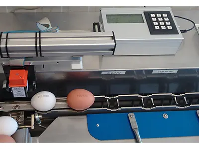 ovobit Egg printer