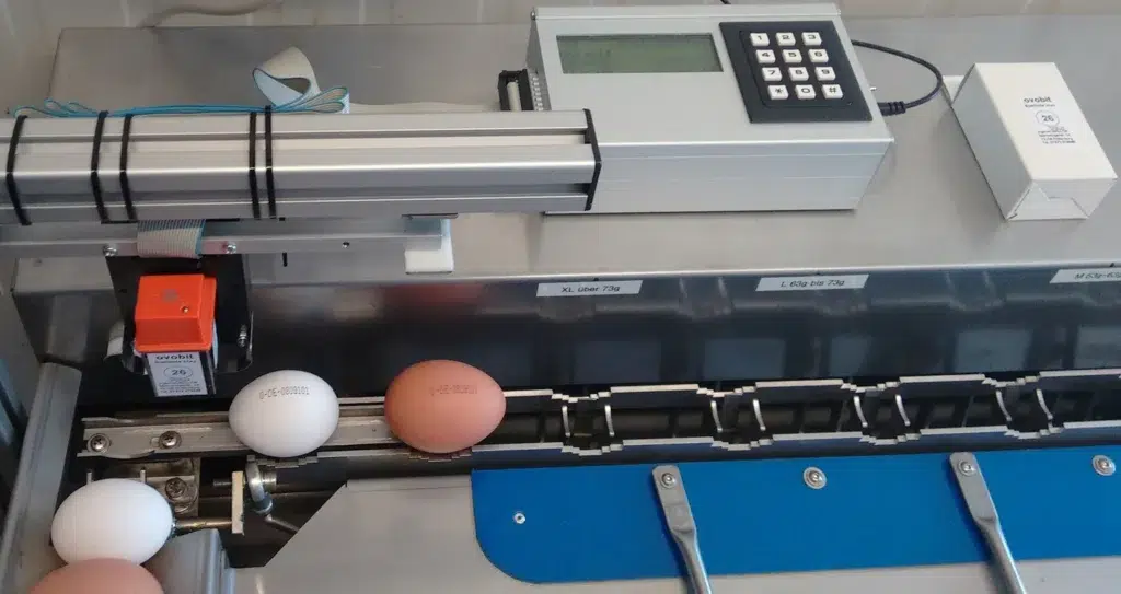 Ovobit26 Egg Printer