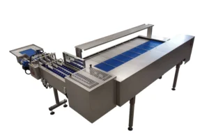 Riva Selegg Egg Grader Type S 91 back view