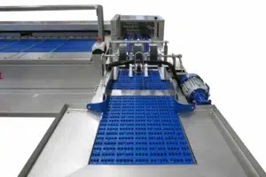 Riva Selegg Egg Grader Type S 91 close up