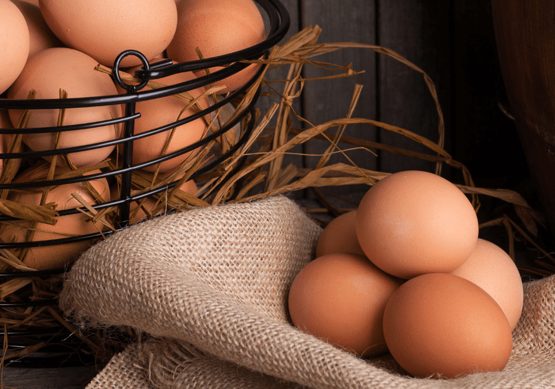 clean, washed eggs with a commercial egg washer from Reids Equipment