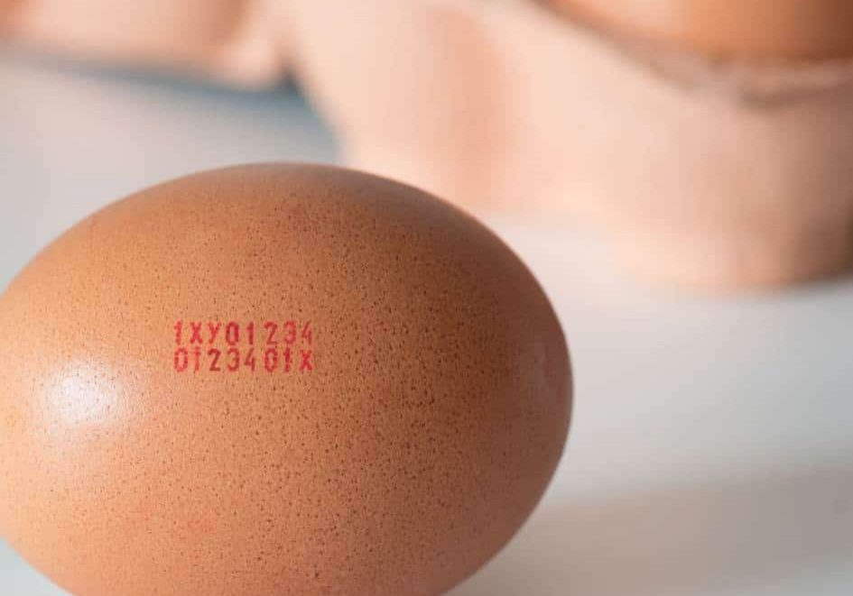 ensure your eggs are printed on effectively with our egg printing machines 'near me'